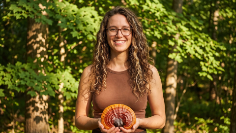 Aizraujošais reishi (Ganoderma lucidum)